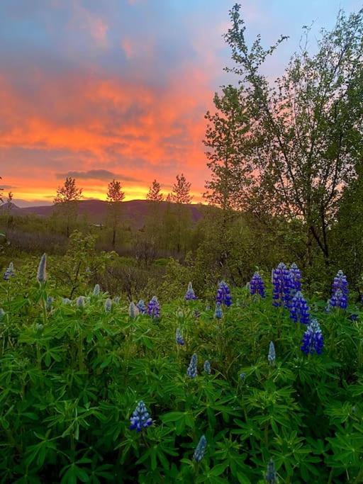 Luxury Cottage Located In The Golden Circle, Mountain View! Laugarvatn Eksteriør billede